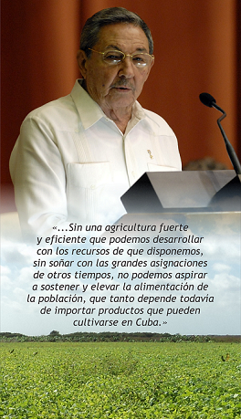 mision