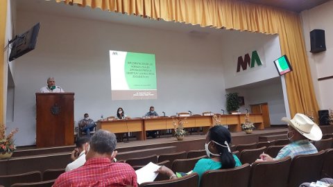 seminariogenetica.jpg