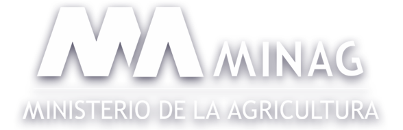 Inicio